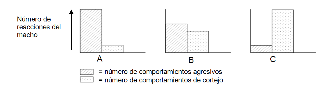 gráfica 3