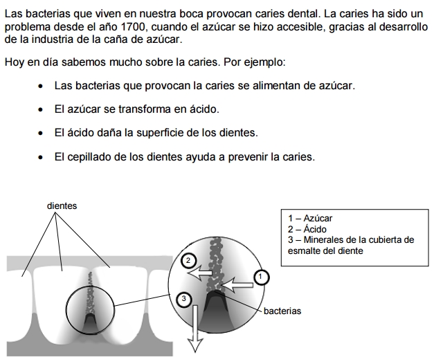 Estímulo 1
