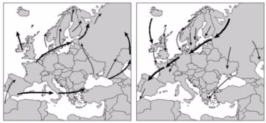 Mapa rutas migratorias