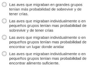 pregunta primera