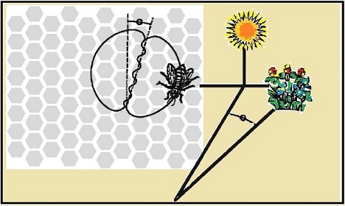 Las abejas Las abejas