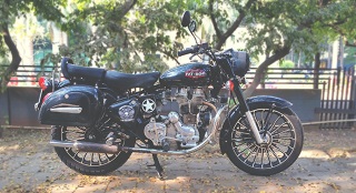 La migración de las aves