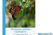 Mariposas y polillas: Lepidópteras