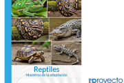 Reptiles. Maestros de la adaptación.
