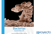 Bacterias: Escherichia coli