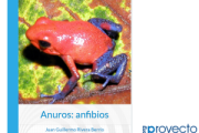 Anuros: anfibios