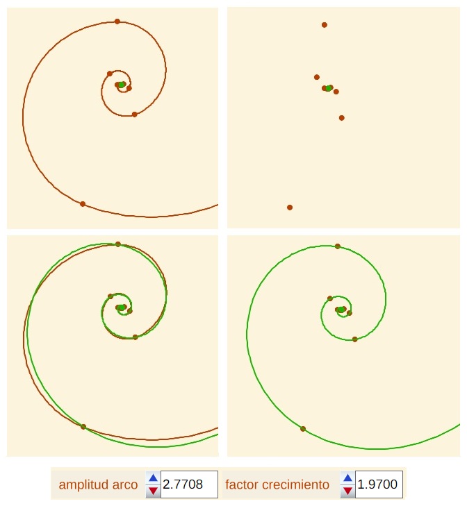 Conexión pseudoespiral de Durero y espiral logarítmica