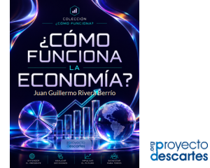¿Como funciona la economía?
