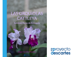 Las orquídeas Cattleya