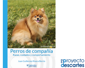 Haz click para abrir el recurso Perros