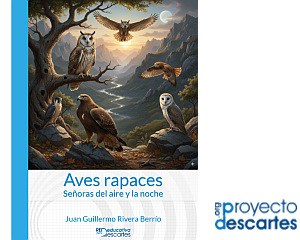 Rapaces