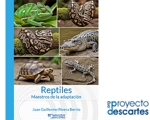 Reptiles