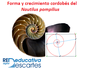 Sobre el crecimiento cordobés del Nautilus Pompilius