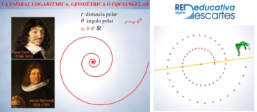 El grillo y la espiral logarítmica