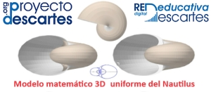 Modelo matemático tridimensional uniforme del Nautilus