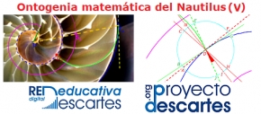 Ontogenia matemática del Nautilus (V)
