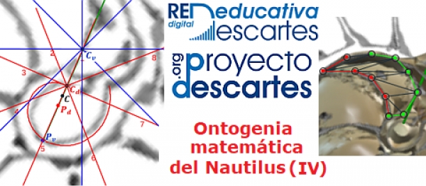 Ontogenia matemática del Nautilus (IV)