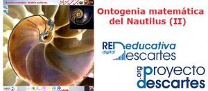 Ontogenia matemática del Nautilus (II)