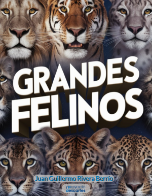 Grandes felinos