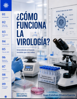¿Cómo funciona la virología?