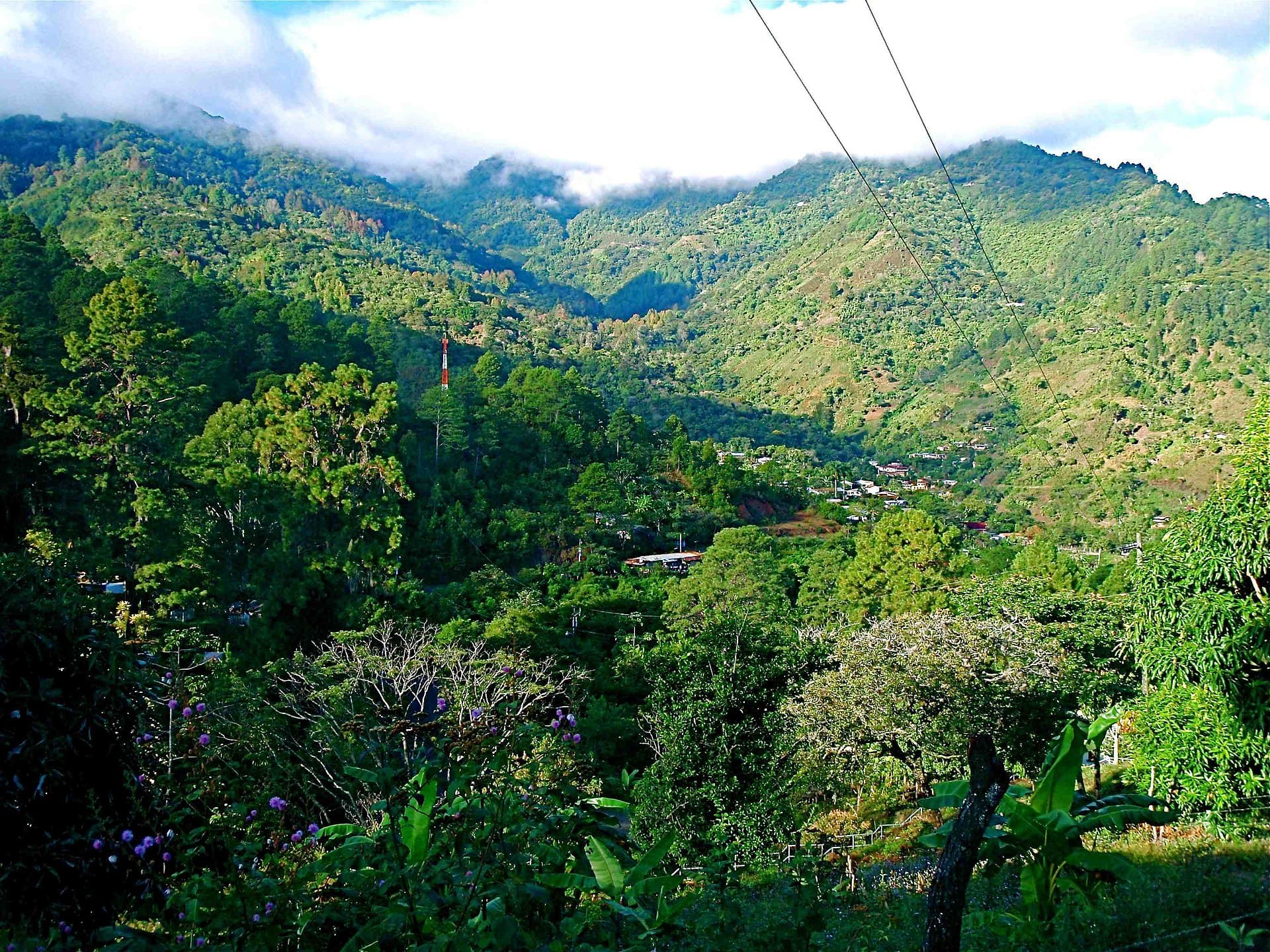 Bosque Tropical, Guatemala