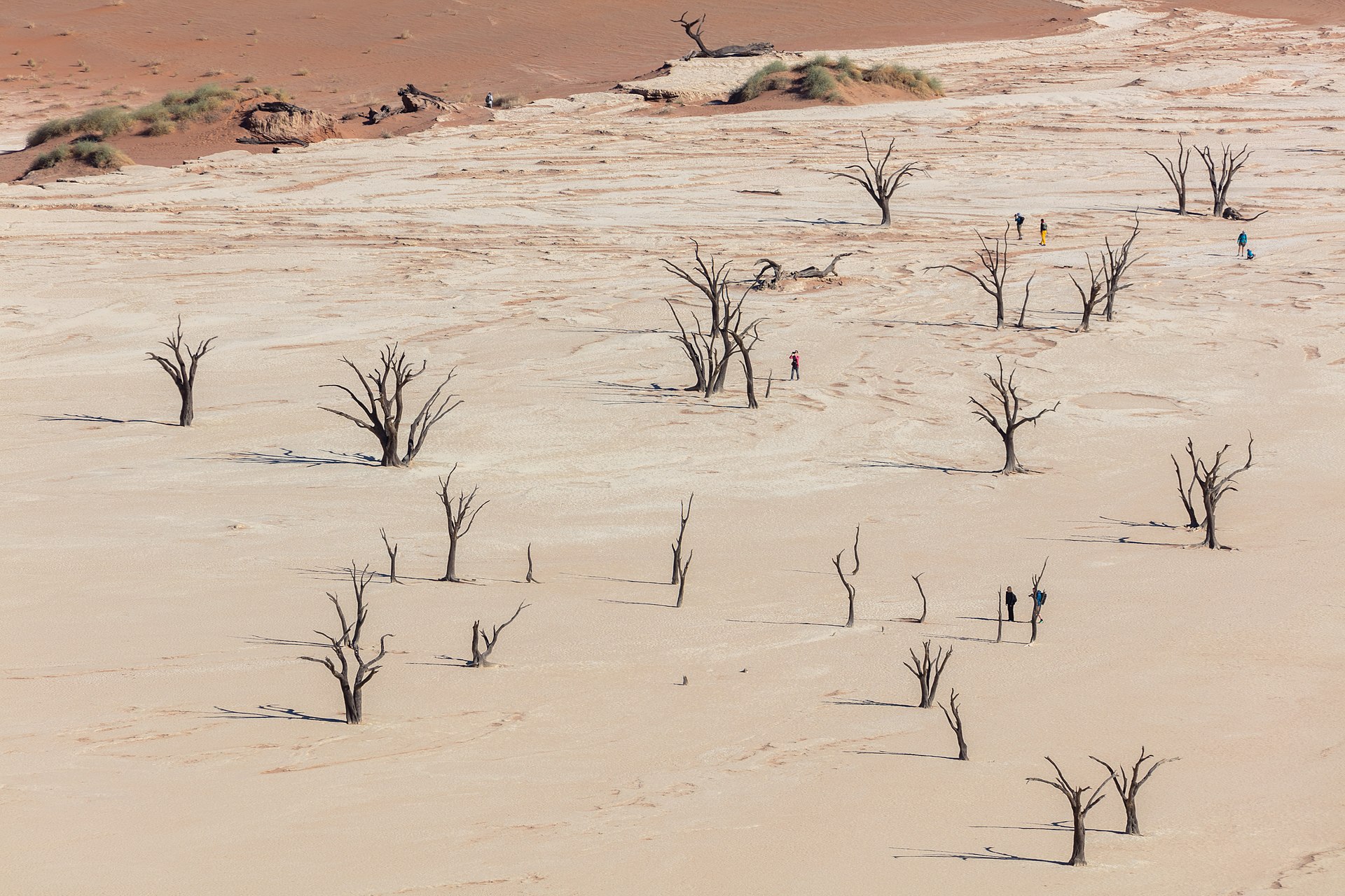 Dead Vlei