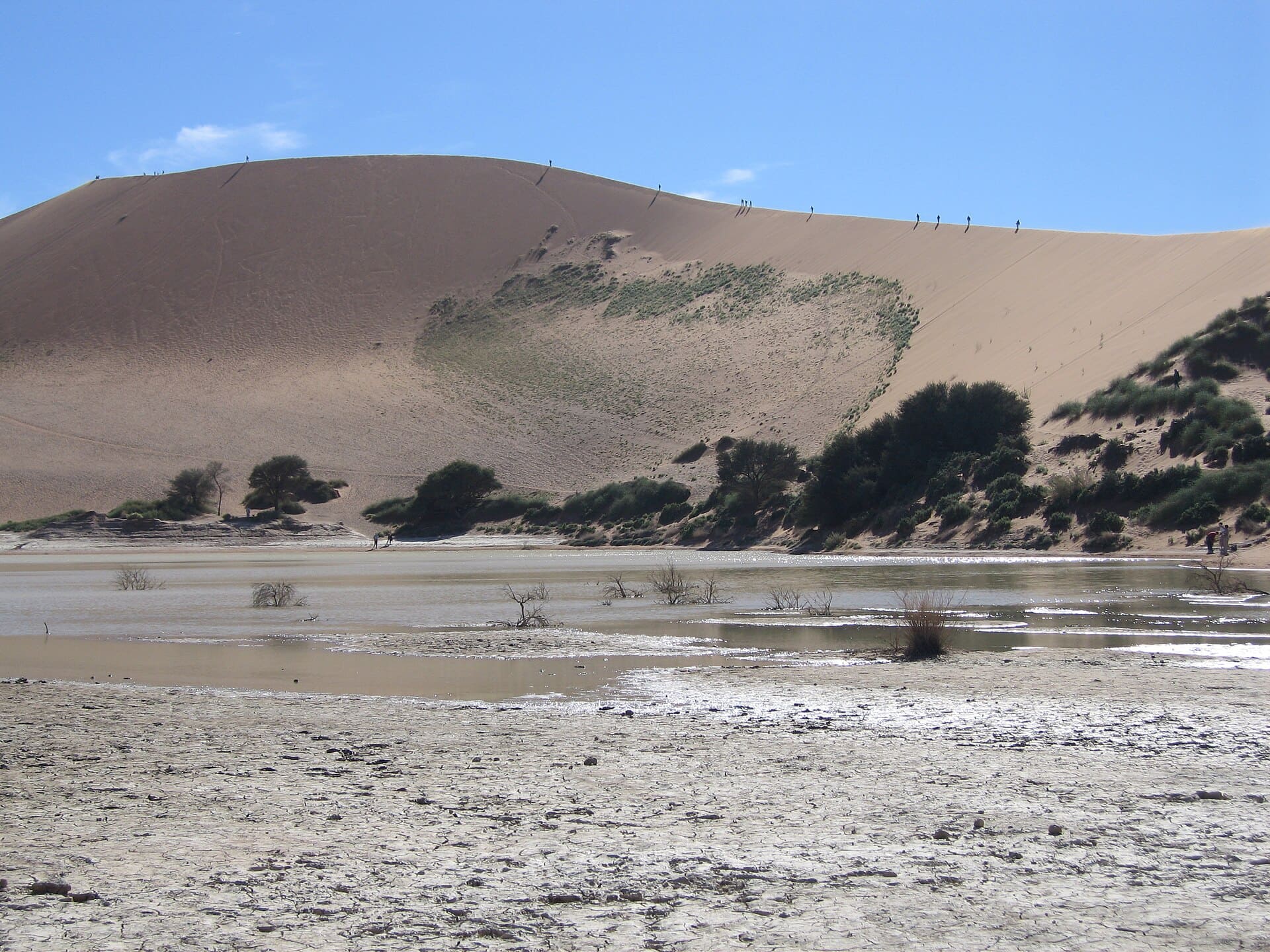 Desierto de Namib