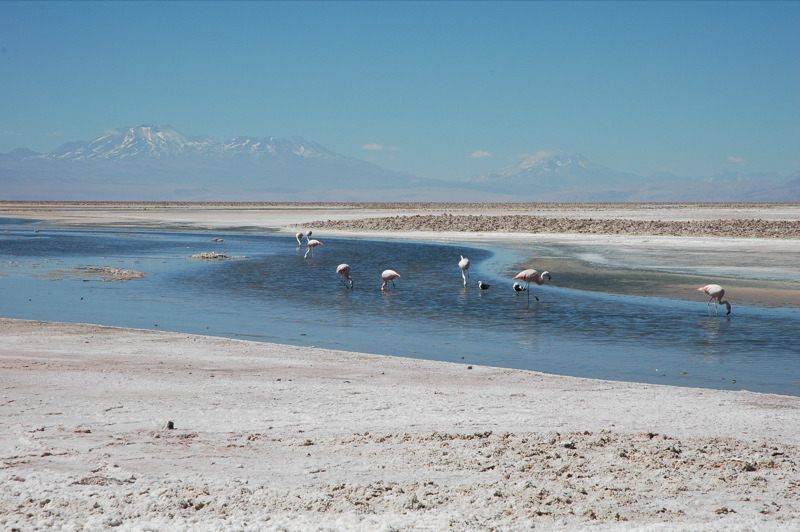 Salar de Atacama