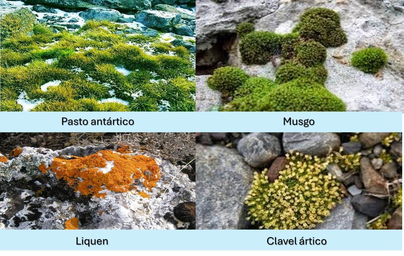 Ecosistema 3