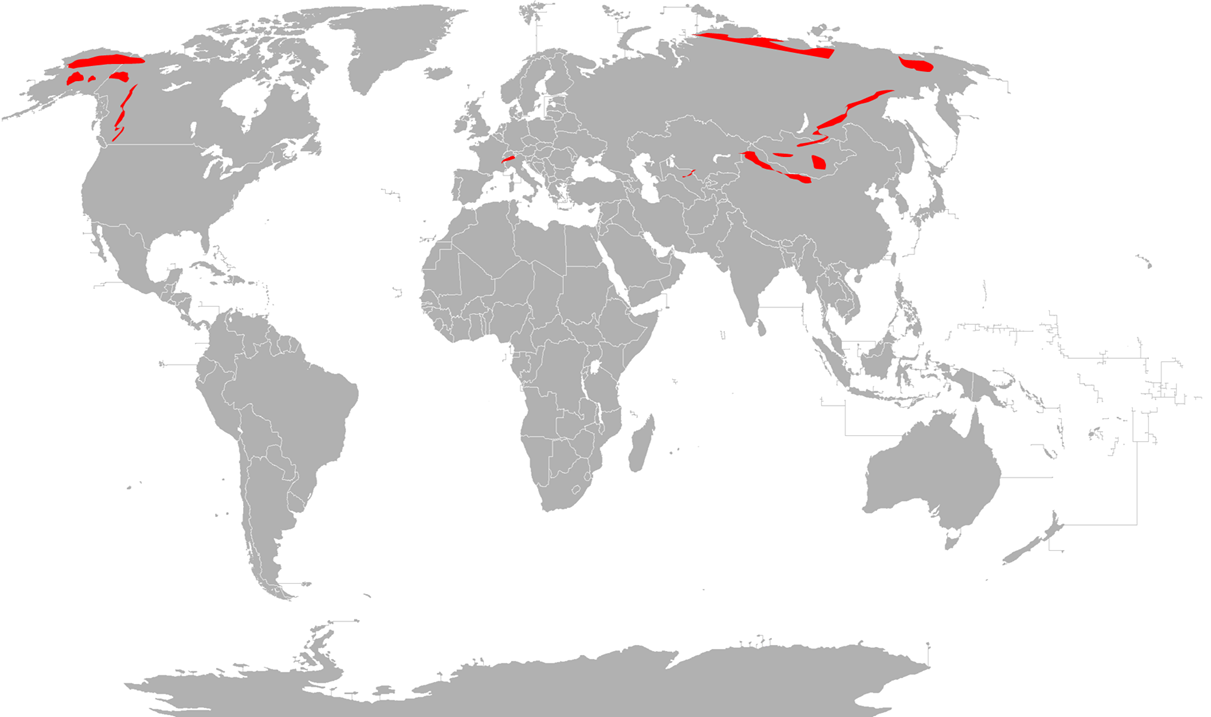 UbicaciÃ³n geogrÃ¡fica de la tundra alpina