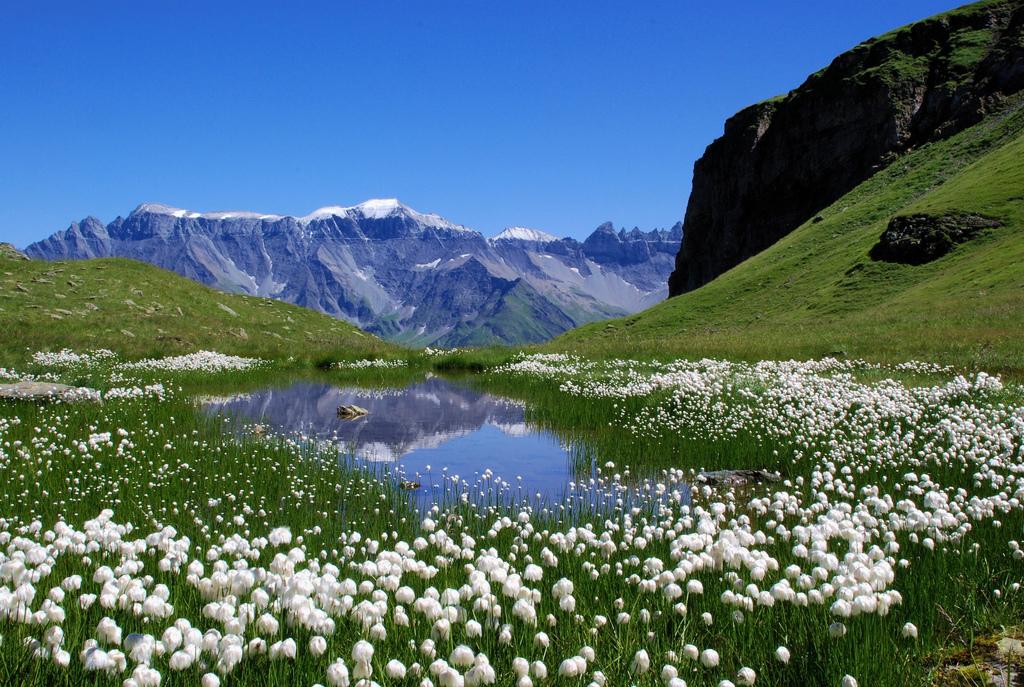 Un pantano alpino
