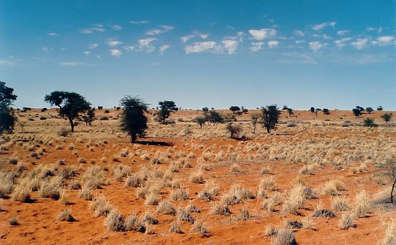 Desierto de Kalahari
