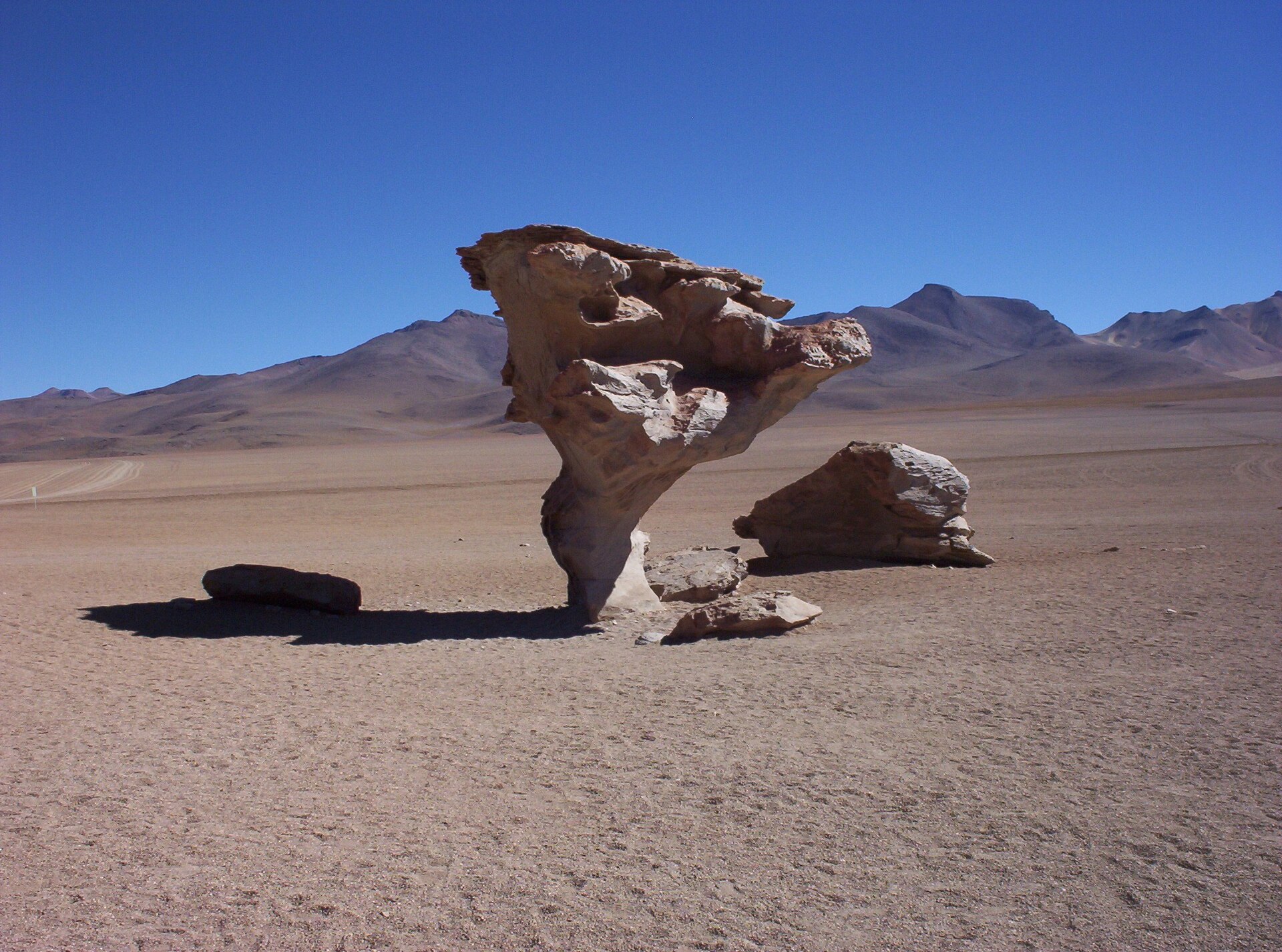 Ãrbol de Piedra