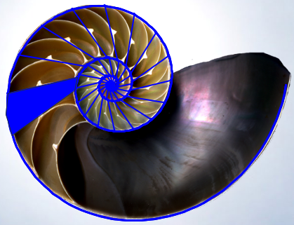 Gnomon de paso 2pi/16