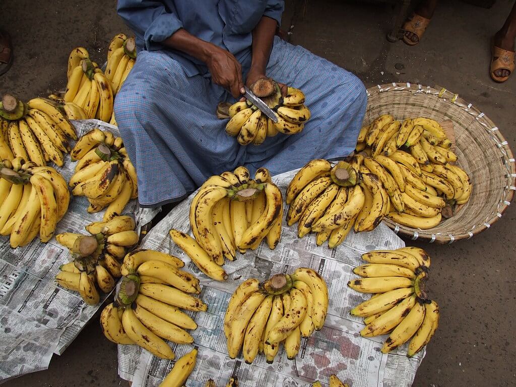 Bananas en puran Dhaka, Bangladesh. 
