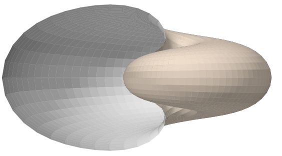 Nautilus 3D