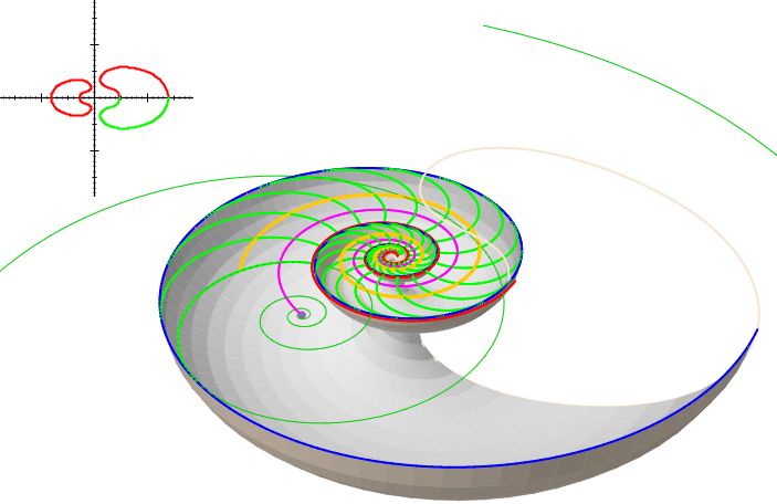 Sección Nautilus 3D con curvas auxiliares