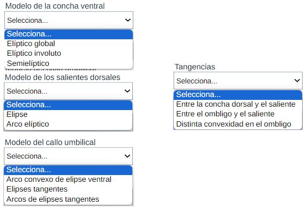 Modelando la concha y callo umbilical