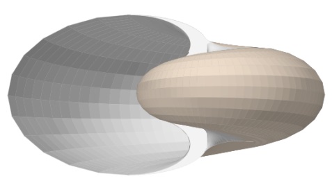 Modelo teórico Nautilus 3D con sección umbilical y tapa