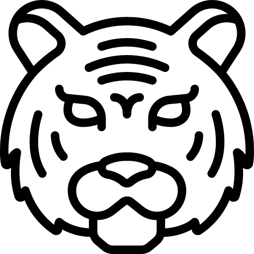 Carta 5