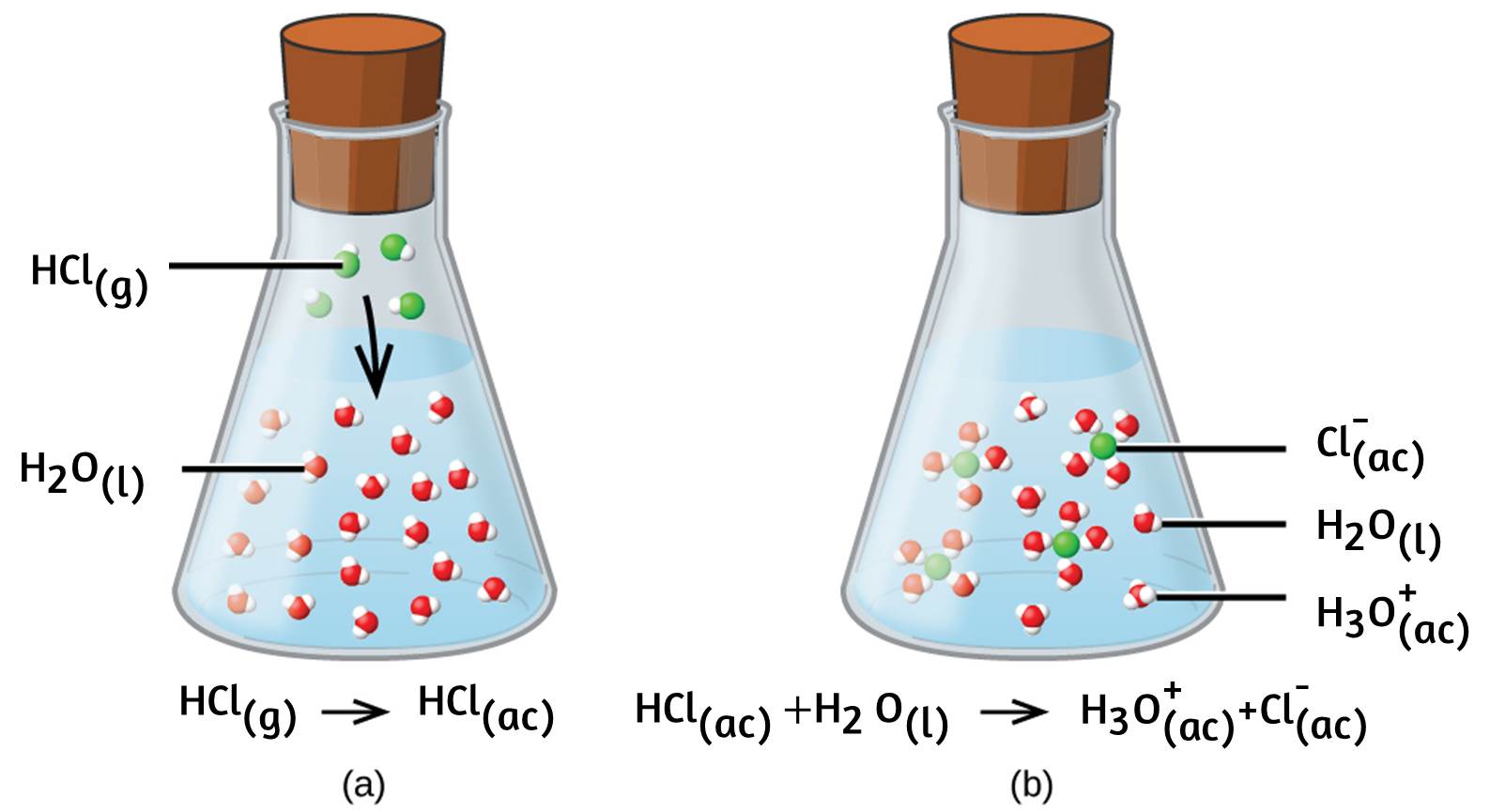 Hci медь. Гидратированные ионы меди. HCL строение. HCL на ионы. Химические реакции в водных растворах.
