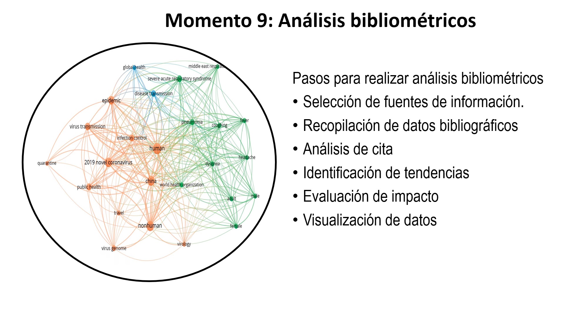 Diapositiva 16
