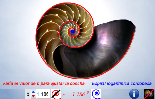 Espiral con factor de crecimiento 2,91, b=1,186...