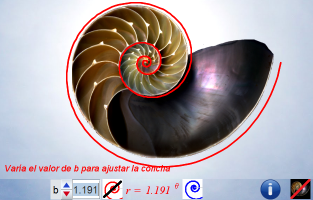 Espiral con factor de crecimiento 3, b=1,191