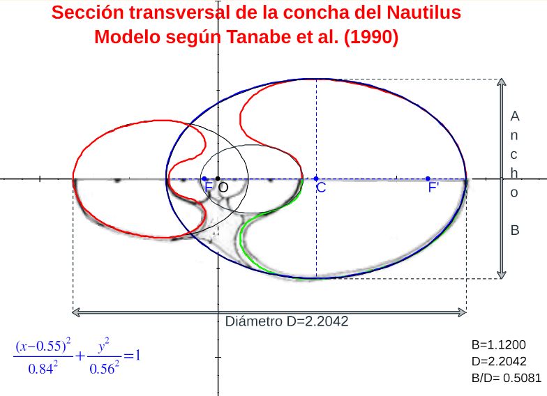 Modelo inicial teórico de la sección frontal del Nautilus