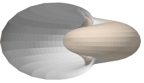 Modelo teórico Nautilus 3D con sección umbilical