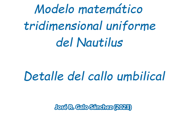 Detalle del callo umbilical en el Modelo matemático teórico 3D del Nautilus