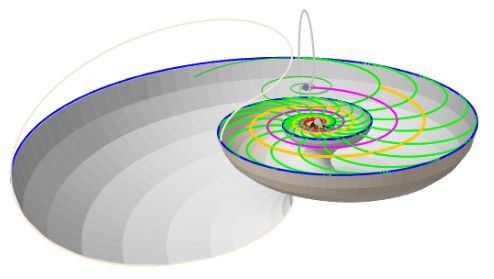 Sección Nautilus 3D modelo teórico con curvas auxiliares
