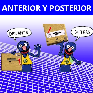 ANTERIOR Y POSTERIOR