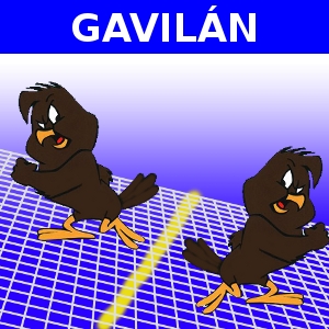 GAVILÁN